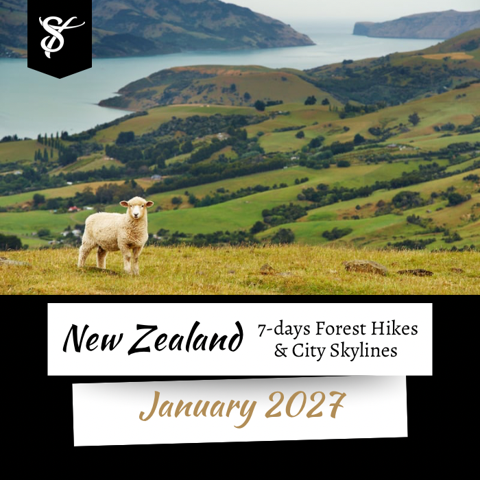 New Zealand 27